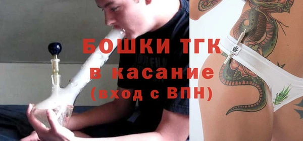 шишки Алексин