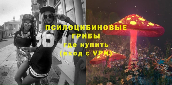 прущие грибы Алексеевка