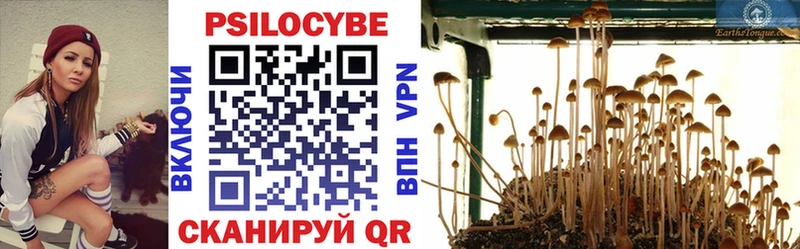 Псилоцибиновые грибы MAGIC MUSHROOMS  нарко площадка формула  Усолье  купить закладку 